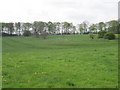 Cultivation  Terraces.  Sledmere  Estate