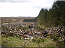 SH9416 : Forestry workings by Richard Law