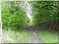 Old railway track, Banton