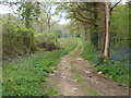 Charborough Park, farm track