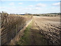 Sparsholt - The Path To Dean