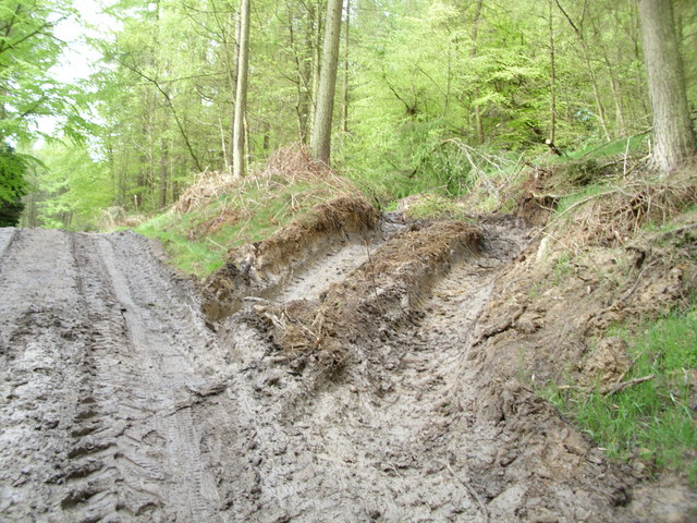 Churned up forestry track near Coate Moor