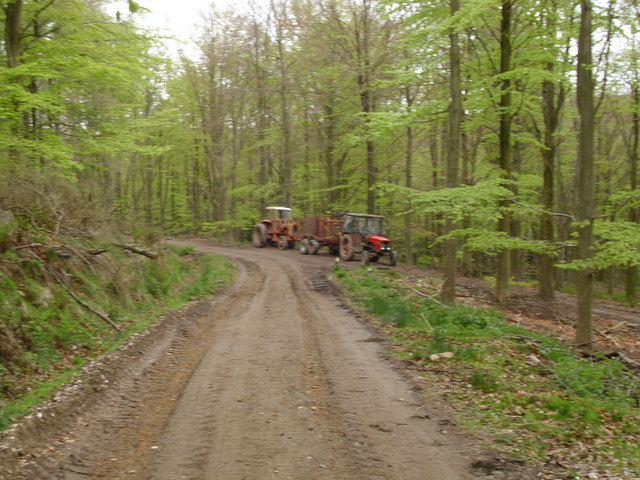 Forestry machinery near Coate Moor