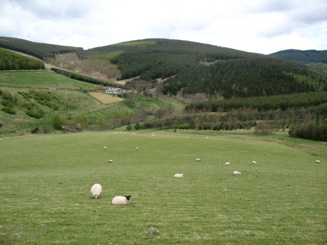 Field with views towards Glenbield Farm