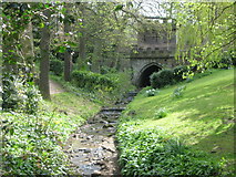 NY9364 : Cowgarth Burn in the Sele (4) by Mike Quinn