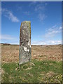 NR2260 : Standing Stone on Islay by Andrew Abbott