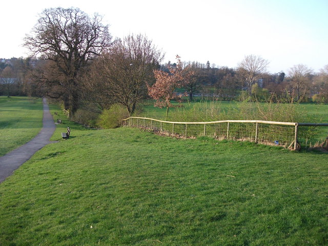 New hedge, Abbey Fields, Kenilworth