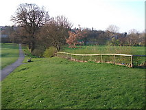 SP2872 : New hedge, Abbey Fields, Kenilworth by John Brightley