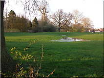 SP2872 : Abbey Fields, Kenilworth by John Brightley
