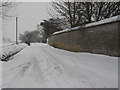 Marsh lane, Clanfield, in the snow