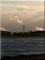 Drax Power Station viewed across polythene fields