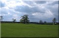 Medieval village site, Howgrave