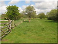 Footpath junction near Brewers Meadow