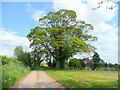 Oak by Ford House Road