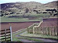 Farm track to Buttergask Hill