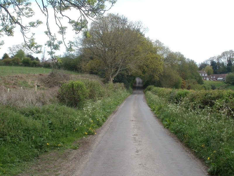 Lytchett Matravers, Loop Farm Lane © Mike Faherty Geograph Britain