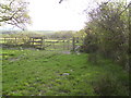 Field edge footpath & stile