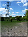 Lonely cottage and power towers on Lightmoor