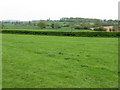 Fieldscape near Berry Cottage