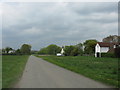 Weobley Marsh