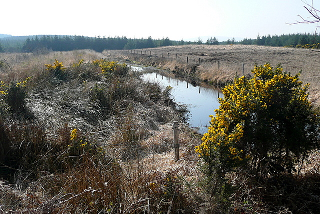 Drainage at Cregroe