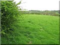 Teme Valley grassland