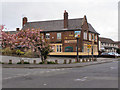 The Cricketers