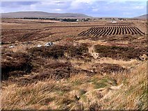 F8736 : Peatlands near Muing na Bo by Oliver Dixon