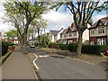 Vicarage Road in Spring