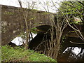 Newland Bridge on the river Taw as seen from downstream