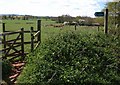 Start of footpath near Raddon