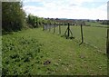 Fence and path, Raddon