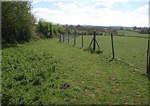 SS9101 : Fence and path, Raddon by Derek Harper