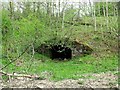 Old tunnel, Cumbernauld Glen