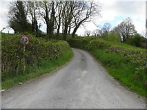 H2418 : Road at Mullanacre Lower by Kenneth  Allen