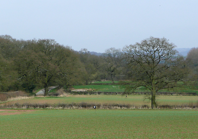Staffordshire crop fields near Enville