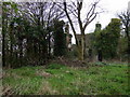 Ruined mansion, Llanstinan