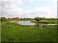 Chase Meadows Lake, Warwick