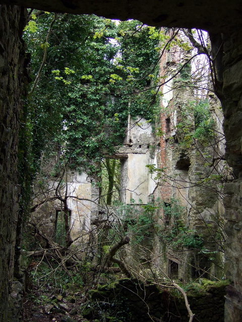 Ruined mansion, Llanstinan, interior (1)