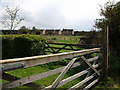 Field at Back Lane, Long Compton