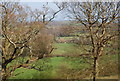 View east through the trees from the 1066 Country Walk