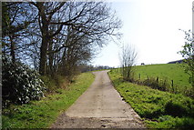 TQ8512 : Farm track to Home Farm by N Chadwick