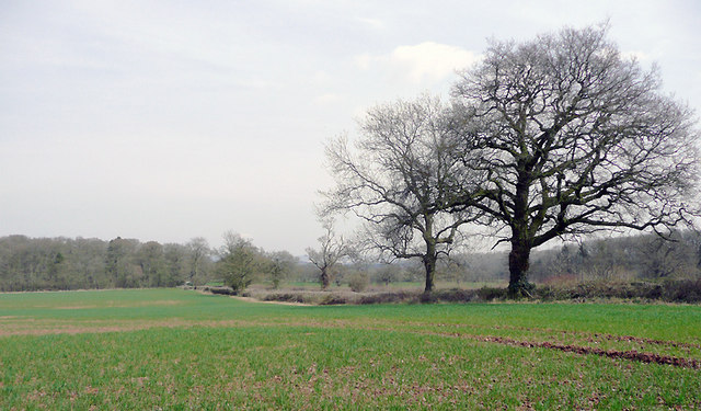 Fields near Enville, Staffordshire