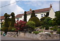 Remarkable topiary at Cross, Somerset