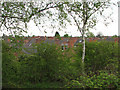 Bridgford rooftops