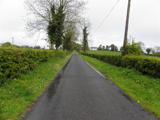 Road at Killycloghan