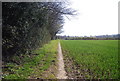 TQ8412 : 1066 Country Walk heading for Martineau Lane by N Chadwick