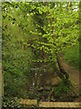 Stream near The Moor