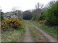 Disused railway embankment