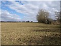 Field near Cullyhall Farm